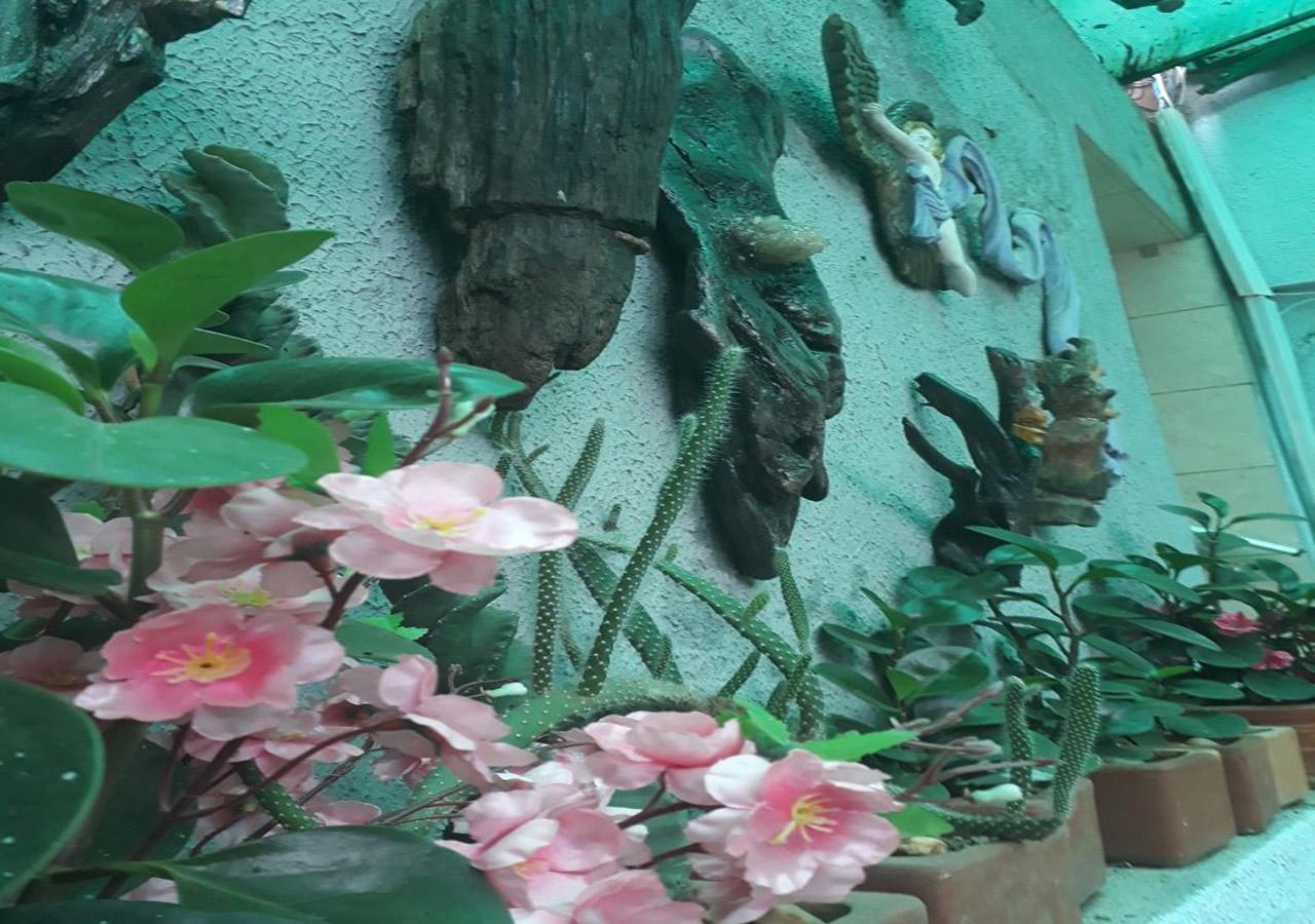 戴尔苏尔酒店 圣洛伦索 外观 照片